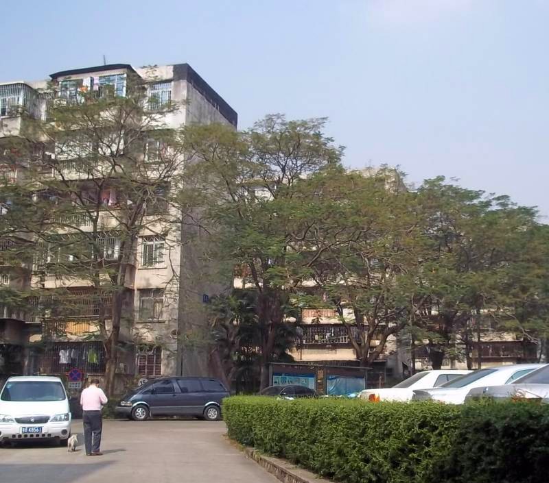荔园小区