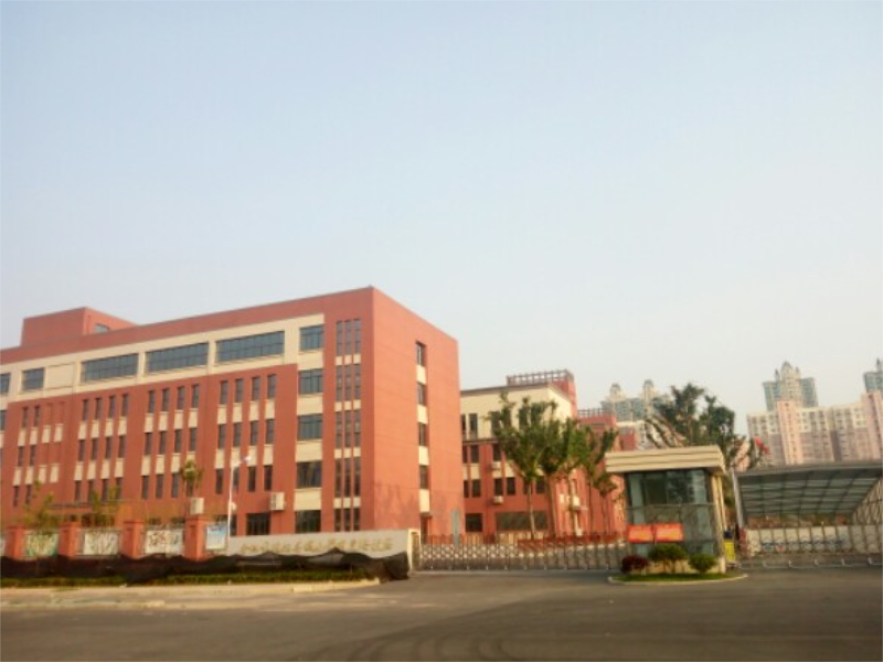 合肥市琥珀名城小学教育集团明皇路小学