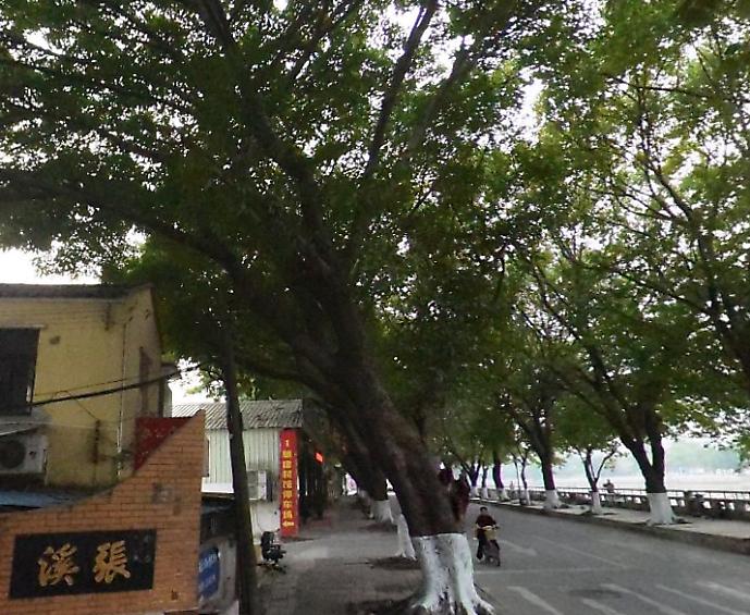 张溪路