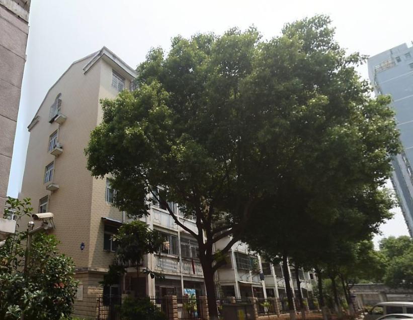 桐江小区