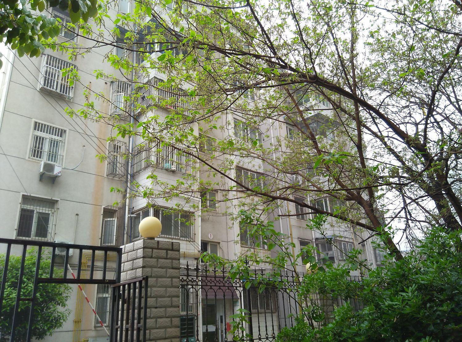 合九新村