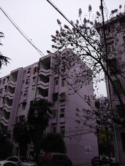 西园新村桃源里